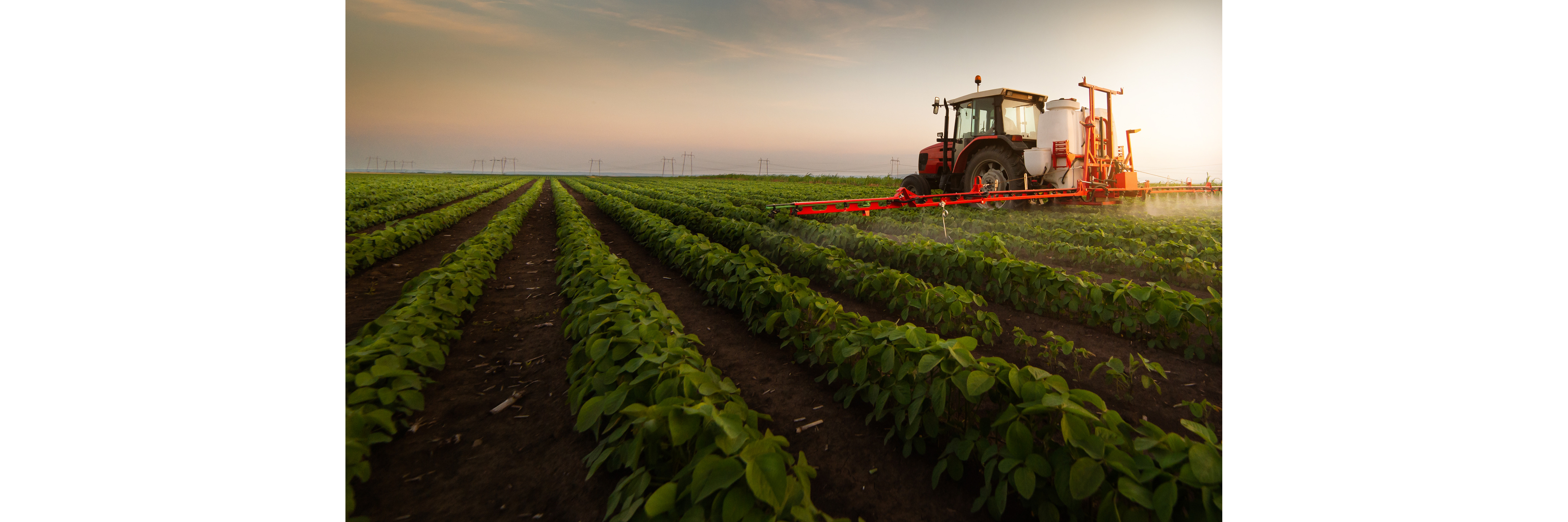 Agro Chemicals