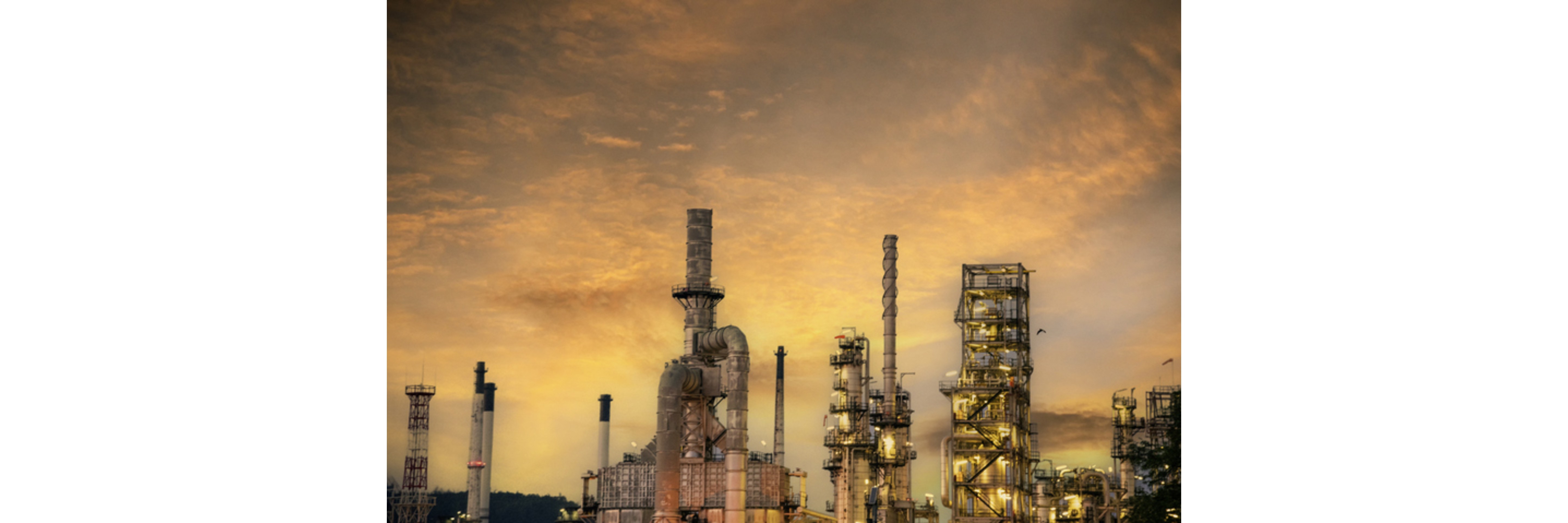 Bulk Petrochemicals
