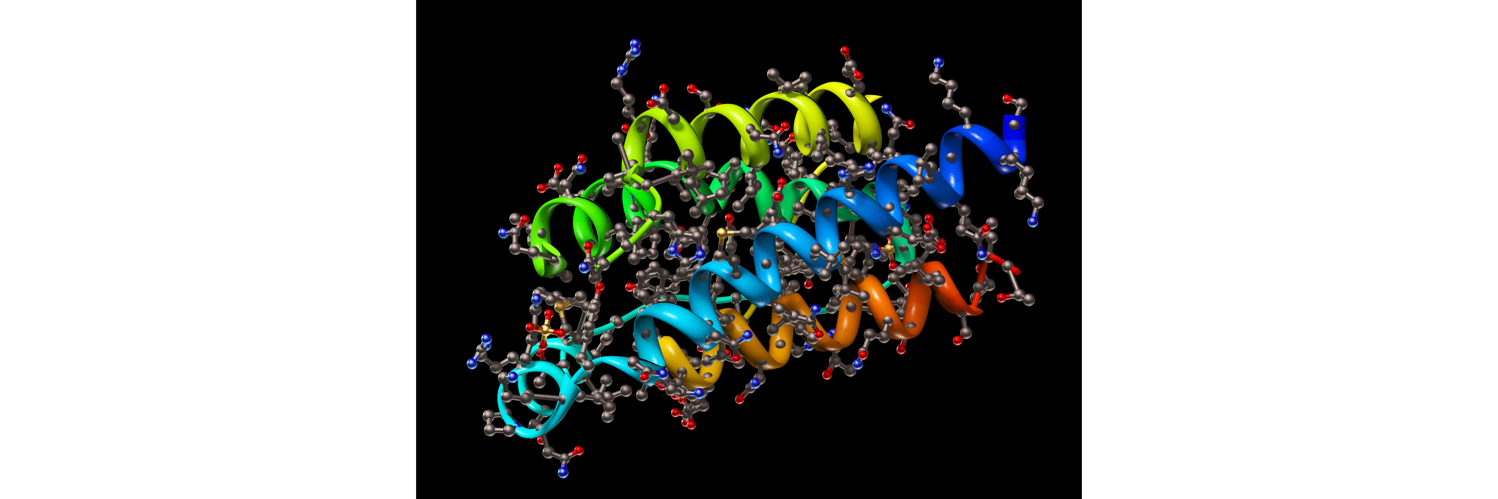 Enzymes And Microbes