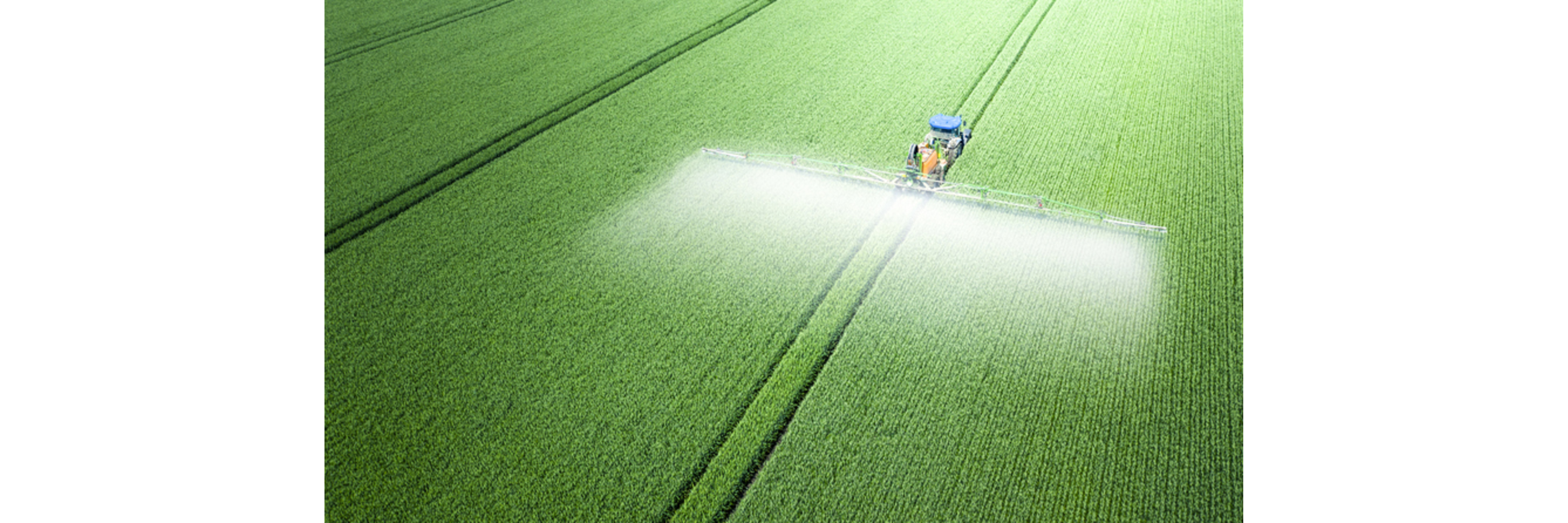 Fertilizers