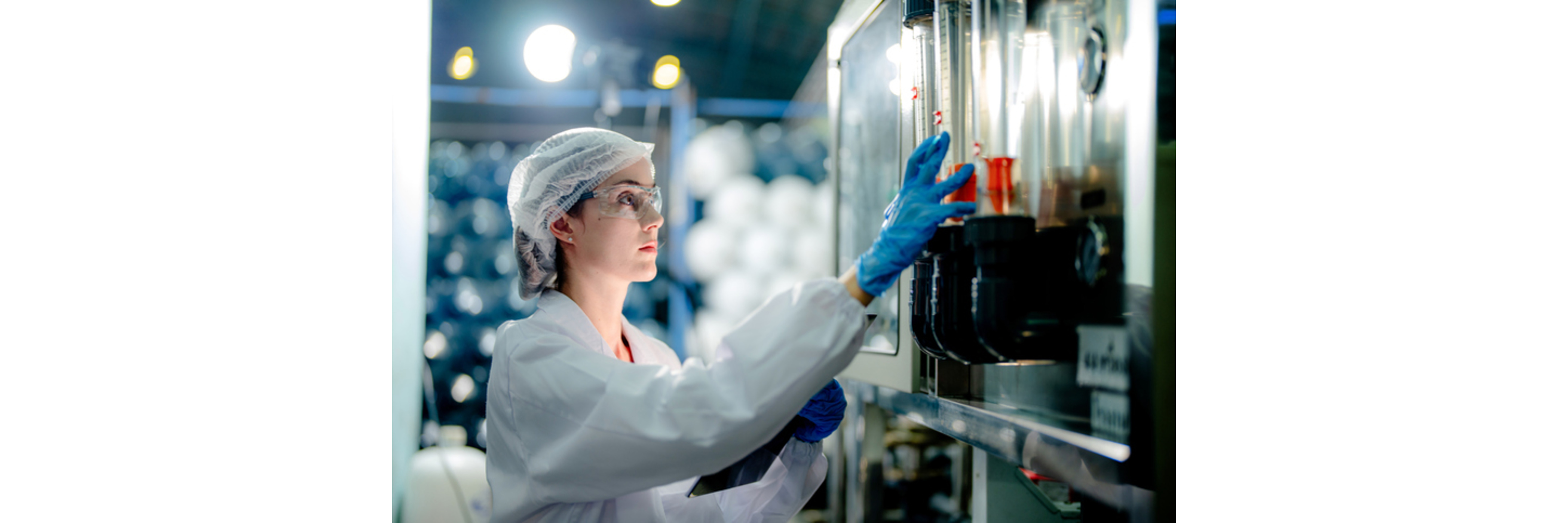 Formulation Businesses